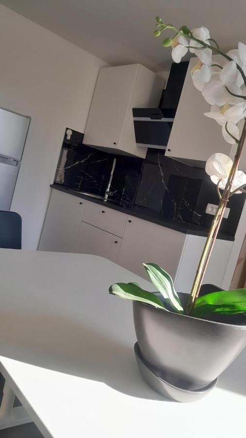 Apartma Ana Koper Exterior foto